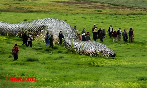 Imagens De Anaconda Gigante - Anaconda Gallery