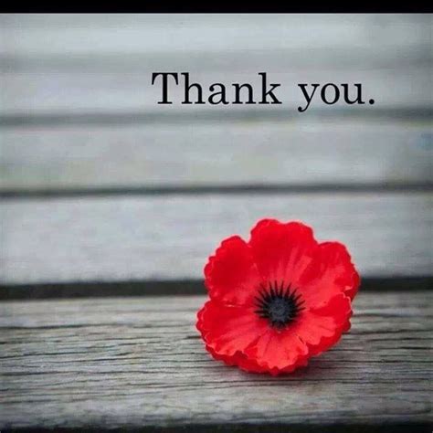 136 best Remembrance Day images on Pinterest | Remembrance day, Poppies and Remembrance day quotes