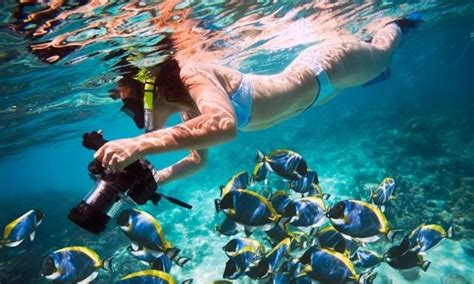 Snorkeling in Hurghada – RedSea Life