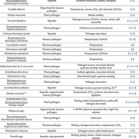 Examples of dimorphic fungi, life history strategies, and environmental... | Download Scientific ...