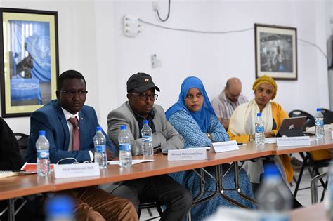 Key Role of Somali Youth in Peace Efforts Highlighted in Meeting with ...