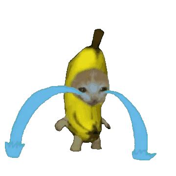 Banana Crying Cat Sticker - Banana crying cat - Discover & Share GIFs | Cat crying, Cat memes ...