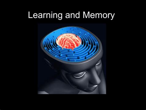 Learning & Memory