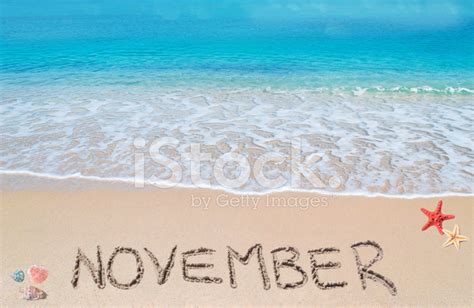 November On A Tropical Beach Stock Photo | Royalty-Free | FreeImages