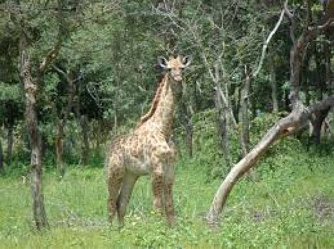 Waterberg Biosphere, limpopo, South Africa - Top Attractions, Things to Do & Activities in ...