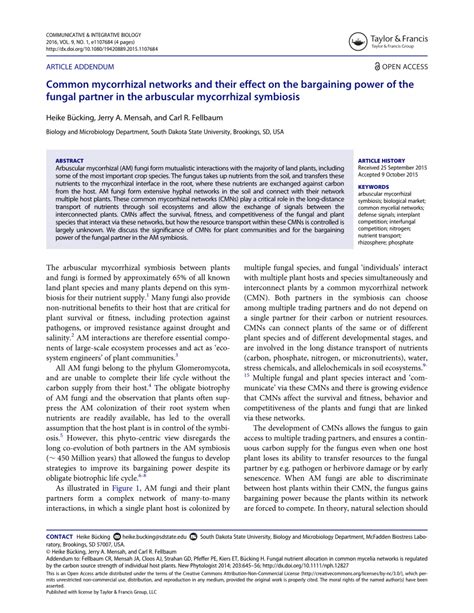 (PDF) Common mycorrhizal networks and their effect on the bargaining ...