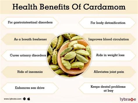 Benefits of Cardamom And Its Side Effects | Lybrate