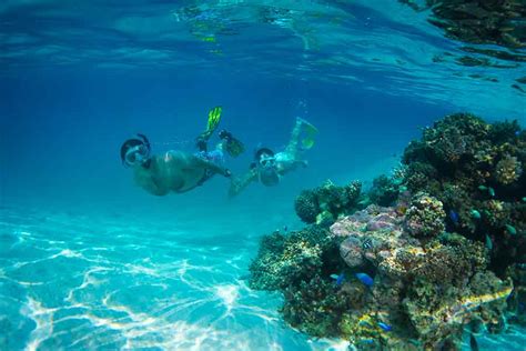 Scuba-diving in Cook Islands: Everything you need to know!