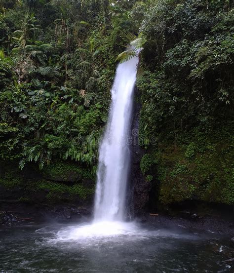 Sawer Waterfall is in the Situ Gunung Tourist Area Which is Located in the Gunung Gede Pangrango ...