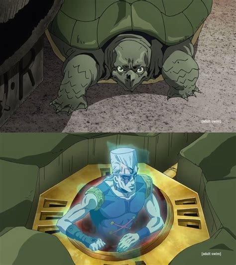 Jojo Polnareff in the Turtle by Mdwyer5 on DeviantArt