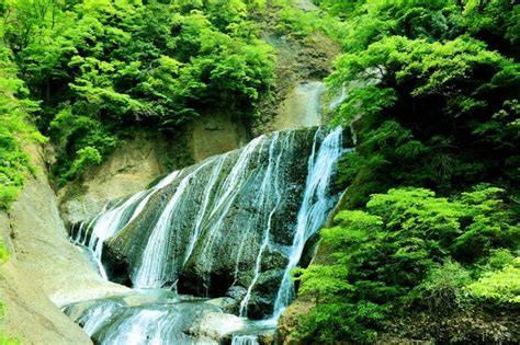 Ibaraki Travel Guide | Air Golf Japan