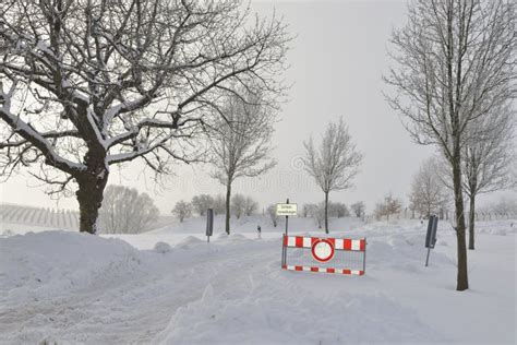 Road closed due to snow stock photo. Image of pines, snow - 18856278