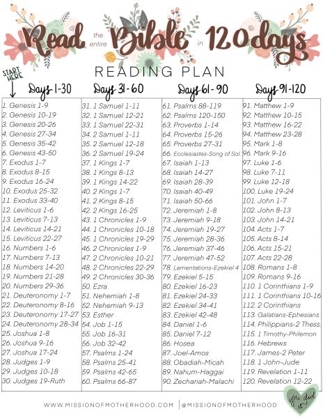 You Can Read the Entire Bible in 120 Days - Mission of Motherhood