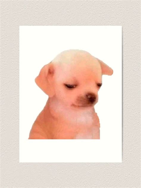 Dog Sad Face Meme | ubicaciondepersonas.cdmx.gob.mx