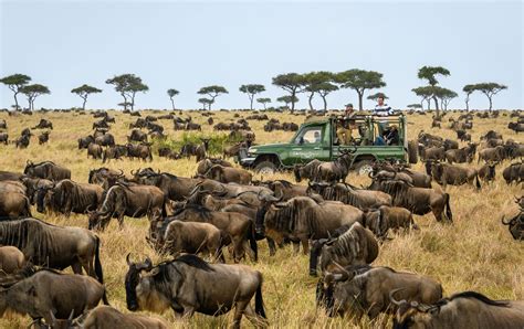 The Maasai Mara Game Reserves - Micato Safaris