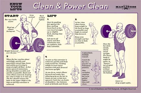 Clean & Power Clean - Fitness Workout Military Shoulder Lift - PROJECT ...