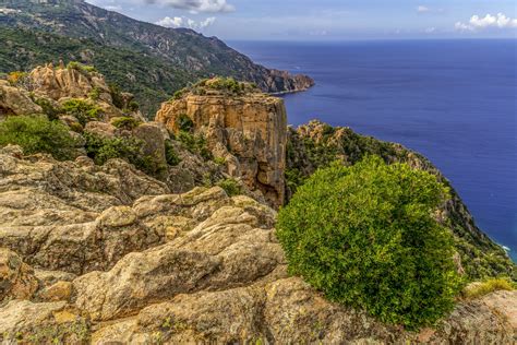 Piana In Corsica Free Stock Photo - Public Domain Pictures