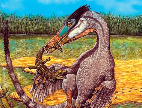 Brazilian paleontologists identify new carnivorous dinosaur : Revista ...