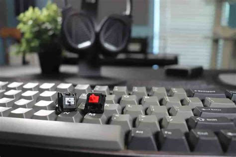 Cherry MX Red vs Speed Silver Switches: What's Better? - Switch and Click