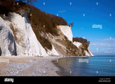 High chalk cliffs at the coast of Rugen island, Jasmund National Park ...