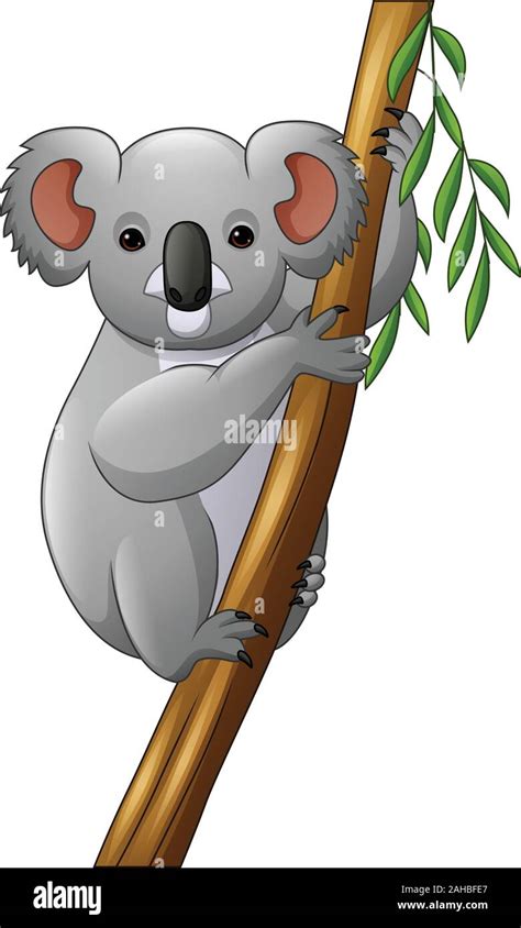 Illustration of koala on a tree branch Stock Vector Image & Art - Alamy