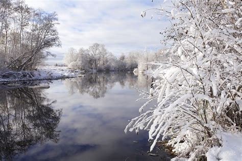 My Photographs Of Winter In Estonia | Winter pictures, Tartu, Estonian