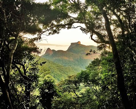 What is missing? | Tijuca Forest established as National Park