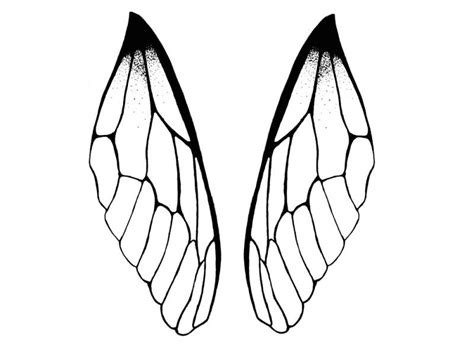 Dragonfly Wings Drawing | Free download on ClipArtMag