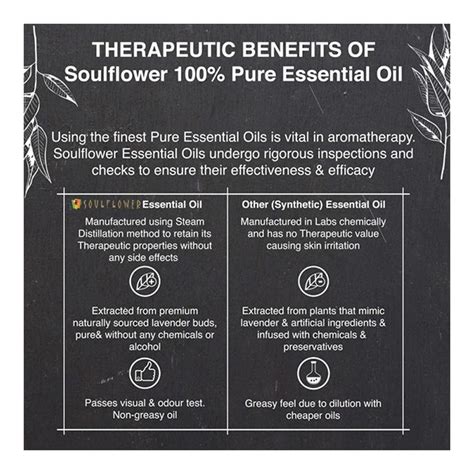 Buy Soulflower Aromatherapy 100% Pure & Natural Essential Oil - Eucalyptus 15 ml Online at Best ...