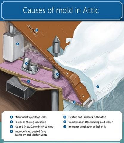 What's Causes Attic MOLD? | Poughkeepsie, Hopewell Junction, Newburgh