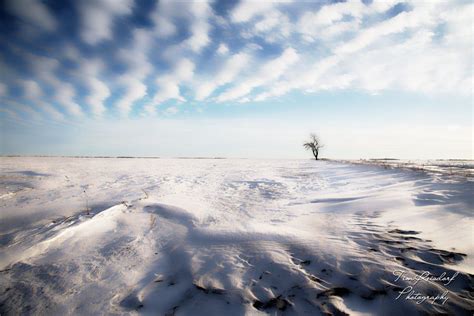 SnowScape on the Prairies by Tim Reisdorf, via 500px | Winter faves ...