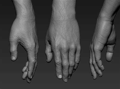 zbrush hand model download - harold-lander