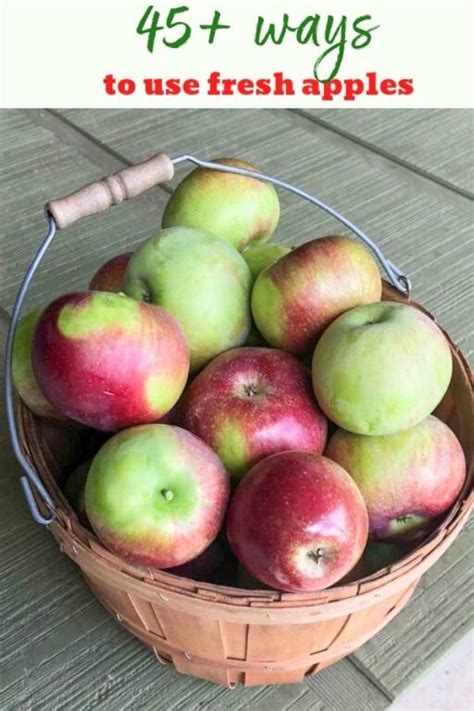 Apple Picking + Recipes to Use a Lot of Apples - Trial and Eater