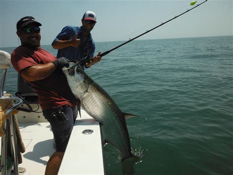 St. Simons Island Georgia Fishing Charters (Inshore, Offshore Fishing Charters)