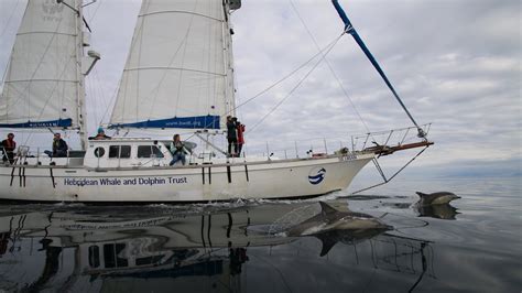 Silurian: from smuggling to science — Hebridean Whale & Dolphin Trust