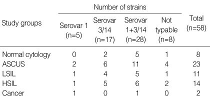 Subtyping of isolated Ureaplasma parvum strains (n=58) | Download Scientific Diagram