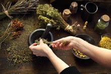 Herbalists Selling Their Wares Free Stock Photo - Public Domain Pictures