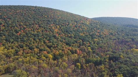 GALLERY: Tracking fall foliage in Western New York