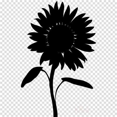 Download High Quality sunflower clip art silhouette Transparent PNG Images - Art Prim clip arts 2019