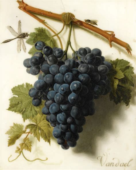 Grapes Painting | Jan Frans van Dael Oil Paintings