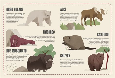 The Atlas of Animals :: Behance