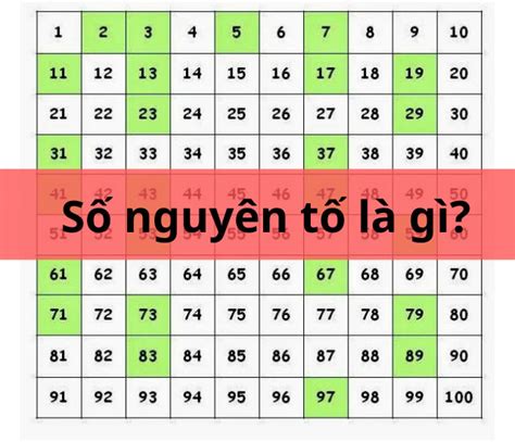 Số Nguyên Tố Là Gì? Tính chất, Cách xác định số nguyên tố