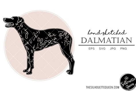 Dalmatian Sketch (2511880)