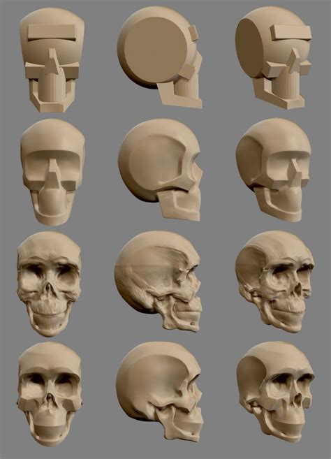 Sculpture techniques, Skull anatomy, Sculpture art clay