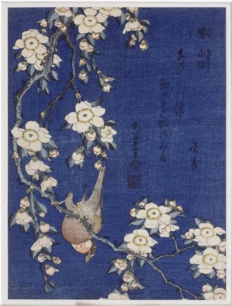 Bullfinch and weeping cherry blossoms, 1834 - Katsushika Hokusai - WikiArt.org