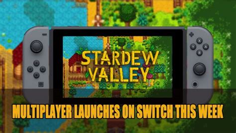 How to Play Stardew Valley Multiplayer on All Platforms (Beginner-Friendly)