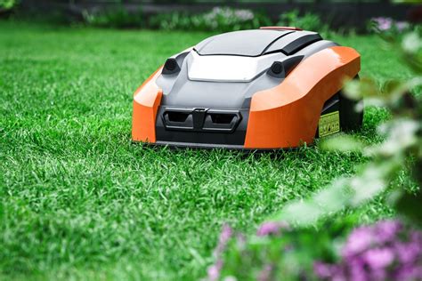 5 best robot lawn mowers to buy in 2022 | Better Homes and Gardens