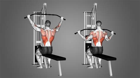 7 Lat Pulldown Alternatives for Huge Lats (with Pictures!) - Inspire US