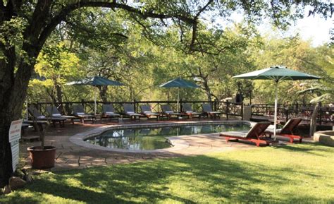 19 Kruger National Park Safari Packages and Lodges