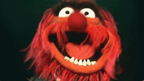 Animal Muppets GIF – Animal Muppets Scary – GIFs entdecken und teilen